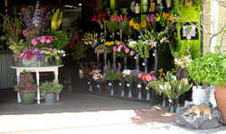 Mieko's Marketplace Flowers