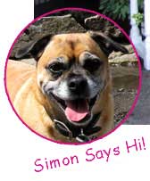 Simon Says Hi